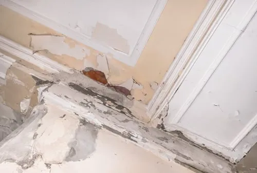 Drywall Repair